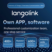 Load image into Gallery viewer, langolink computer design java program development, custom VUE front-end, python code software, PHP project generation