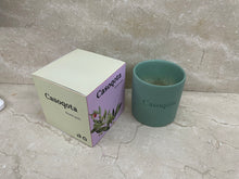Load image into Gallery viewer, Casoqota ceramic flower pots, plantable, compact flower pots, mini plant pots
