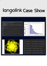 Load image into Gallery viewer, langolink computer design java program development, custom VUE front-end, python code software, PHP project generation
