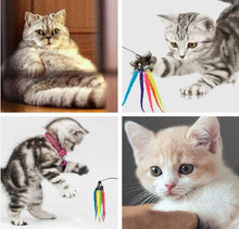 Load image into Gallery viewer, SamHeng Cat Wand Toy Replacement Refills
