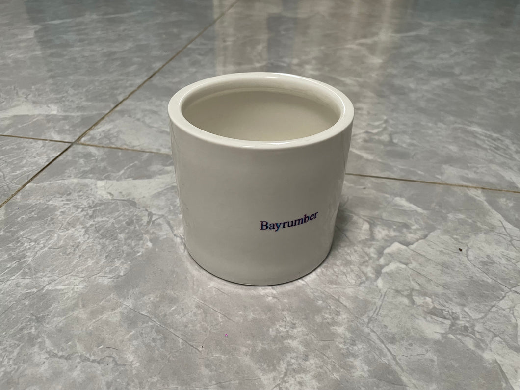 Bayrumber white minimalist ceramic flower pot green orchid pot pot pot plant potware