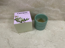 Load image into Gallery viewer, Casoqota ceramic flower pots, plantable, compact flower pots, mini plant pots
