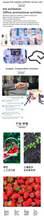 Load image into Gallery viewer, luugaa Pet show promotion，show flyer distribution，pet show customer development，consumer targeting，pet product show promotion
