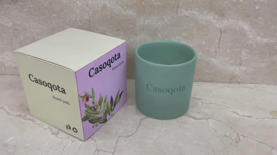 Casoqota ceramic flower pots, plantable, compact flower pots, mini plant pots
