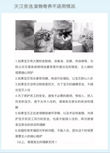 Load image into Gallery viewer, 天汉景逸 陕西省宠物托儿所猫咪寄养宠物家庭式寄养同城寄养上门喂养可接送
