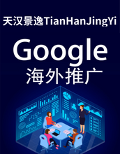 Load image into Gallery viewer, 天汉景逸TianHanJingYi  谷歌google搜索SEO优化广告，投放ads营销，adwords运营
