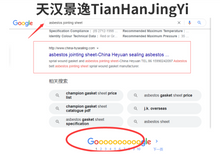 Load image into Gallery viewer, 天汉景逸TianHanJingYi  谷歌google搜索SEO优化广告，投放ads营销，adwords运营
